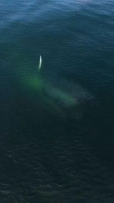 an airplane is flying over the ocean with it's tail sticking out from the water