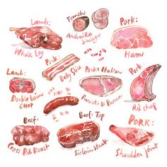 a drawing of different types of meat