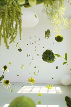 green plants and flowers floating in the air next to a white wall with sunlight coming through it