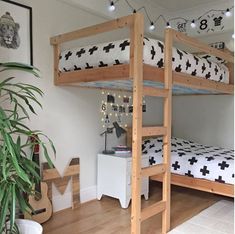 a wooden bunk bed sitting on top of a hard wood floor next to a potted plant