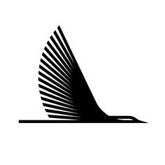 an abstract black and white image of a curved object on a white background with the shadow of it's tail