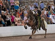 a man riding on the back of a brown horse in front of a large crowd