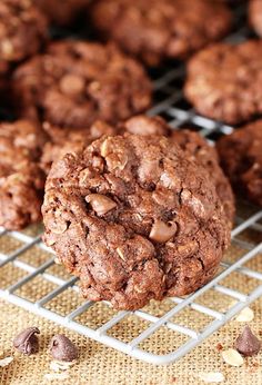 chocolate cookies cooling on a wire rack with more cookies in the background and one cookie half eaten