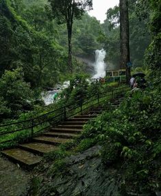 About Iruppu Falls in Coorg 🌿

Iruppu Falls in Coorg is a gorgeous waterfall in Karnataka. Gushing from Brahmagiri Mountain Range these falls are also famous as Lakshmana Tirtha Falls.🌊

#Coorg is one of the most beautiful hill stations in India which attracts a great number of tourists throughout the year.

Iruppu Falls originate from a height of around 170ft. Amidst the lush green forests stands this picturesque cascade of Iruppu Falls in Coorg. Madikeri Coorg, Singapore Tour Package, Honeymoon Tour Packages, Kodaikanal, Famous Waterfalls, Wilderness Lodge, Family Tour, Munnar, Bright Pictures