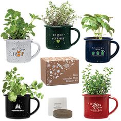 six coffee mugs with plants growing out of them, all decorated in different colors