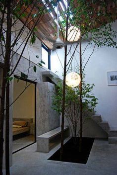 the interior of a modern house with trees and stairs leading up to the second floor