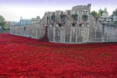 a castle with red flowers growing on the ground