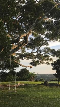 an empty swing in the middle of a grassy field