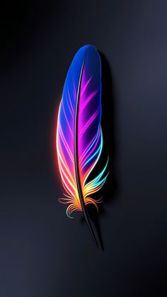 a colorful feather on a black background