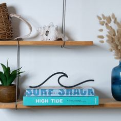 two shelves with books and plants on them, one has a blue vase next to it