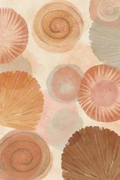 an image of seashells painted on the wall