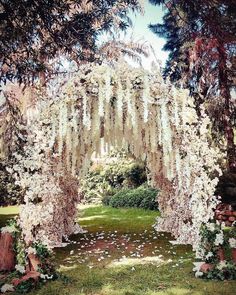 an arch covered in white flowers next to a lush green park filled with lots of trees