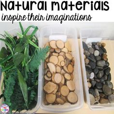 three plastic containers filled with different types of rocks and wood next to green plants on a table