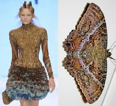 Tiny Sparkly Things: THE INSPIRATION BEHIND ALEXANDER MCQUEEN SPRING 2010 are Moths Philip Treacy, Sarah Burton, Mcqueen Fashion, Fashion Inspiration Design, Animal Fashion, Couture Fashion