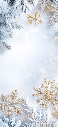 snow flakes and gold ornaments on a white background with space for text or image