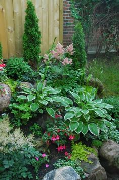 a garden filled with lots of different types of flowers and plants next to a wooden fence