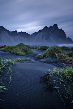 the grass is growing in the sand by the mountain range at night with dark clouds