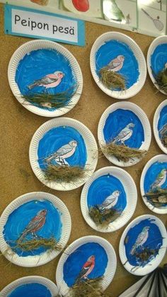 paper plates with birds painted on them