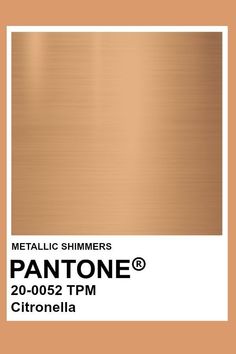 metallic shimmers pantone 6 bronze tone with white border and brown back ground