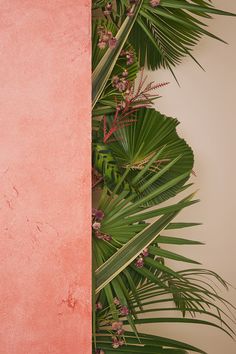 the corner of a pink wall with palm leaves and purple flowers on it's side