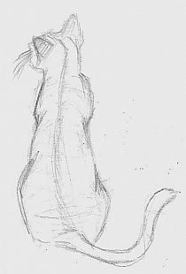 a pencil drawing of a cat looking up at something in the sky with its eyes closed