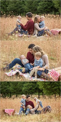 a family is sitting on a blanket in the grass and having fun with each other