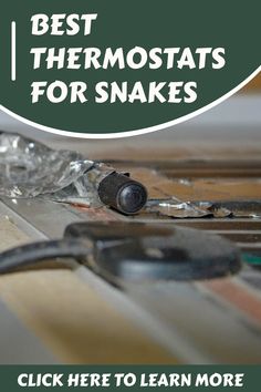 the best thermostats for snakes click here to learn more