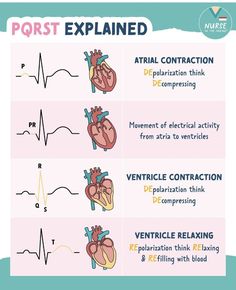 the heart and its functions are shown in this chart, which shows how to use it