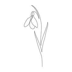 the outline of a flower on a white background