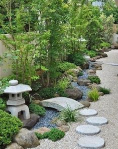 a garden with rocks and plants in it