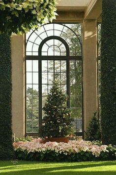 a christmas tree sitting in the middle of a lush green field next to an arched window