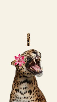 a cheetah with its mouth open and flowers in it's teeth is shown