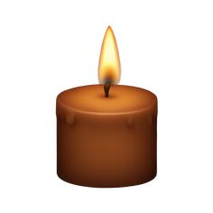 a lit candle is shown in the shape of a round, brown candle with an orange flame