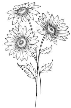 Gerberas Drawing, Gerbera Flower Drawing, Sunflower Tattoo Sketch, Sunflower Drawing Easy, Sketch Rose, Line Drawing Images, Sunflower Sketches, Half Sleeve Tattoo Stencils, Modern Floral Art