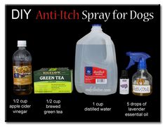 the ingredients for diy anti - itch spray for dogs are shown in this poster