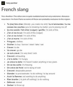 the french language dictionary is shown in this screenshote, which shows an image of a