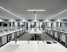 an empty laboratory with sinks, counters and lab lights on the ceiling is lit by red light