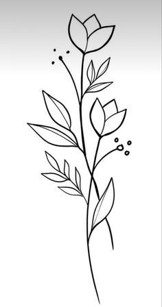 a line drawing of a plant with leaves and dots on the bottom half of it