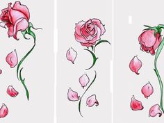 three drawings of pink flowers on white paper