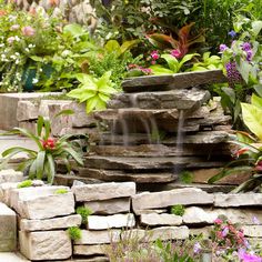 a garden filled with lots of different types of flowers and plants on top of rocks