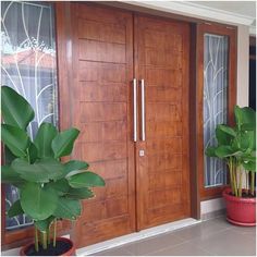 two potted plants sit in front of a wooden door with glass panels on the side