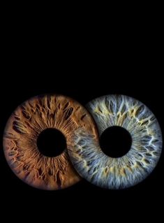 two different types of eyeballs in the dark