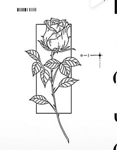 a drawing of a rose on a white background with the letters c and g below it