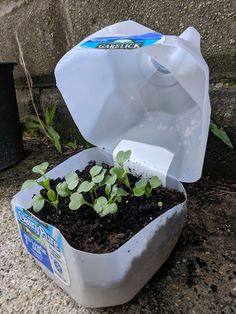 a container with plants growing out of it