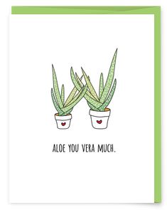 two potted plants with the words aloe you vera much