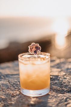 a small dog sticking its head out of a drink in a glass on the beach