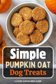 pumpkin oat dog treats in a white bowl with text overlay that reads, simple pumpkin oat dog treats