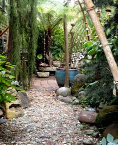 a garden with lots of plants and rocks on the ground in front of some trees