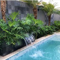 a small pool with water coming out of it and palm trees in the back ground