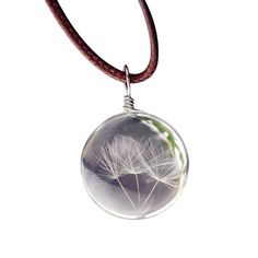 a dandelion in a glass ball on a leather cord necklace with a white background